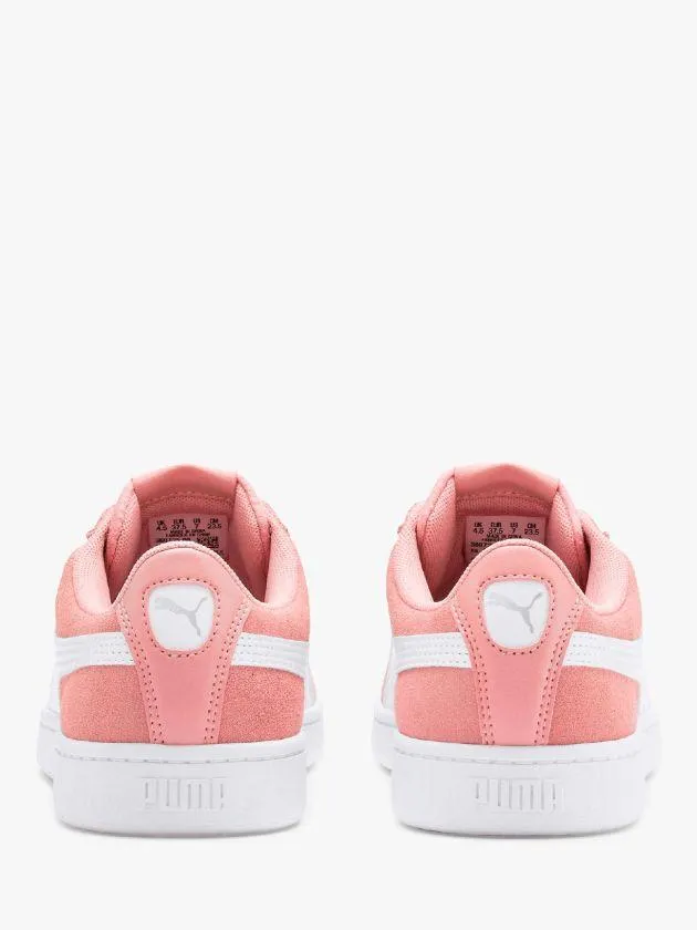 All Day Trainer