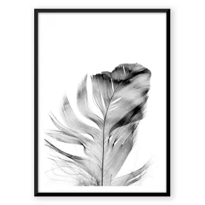 Feather