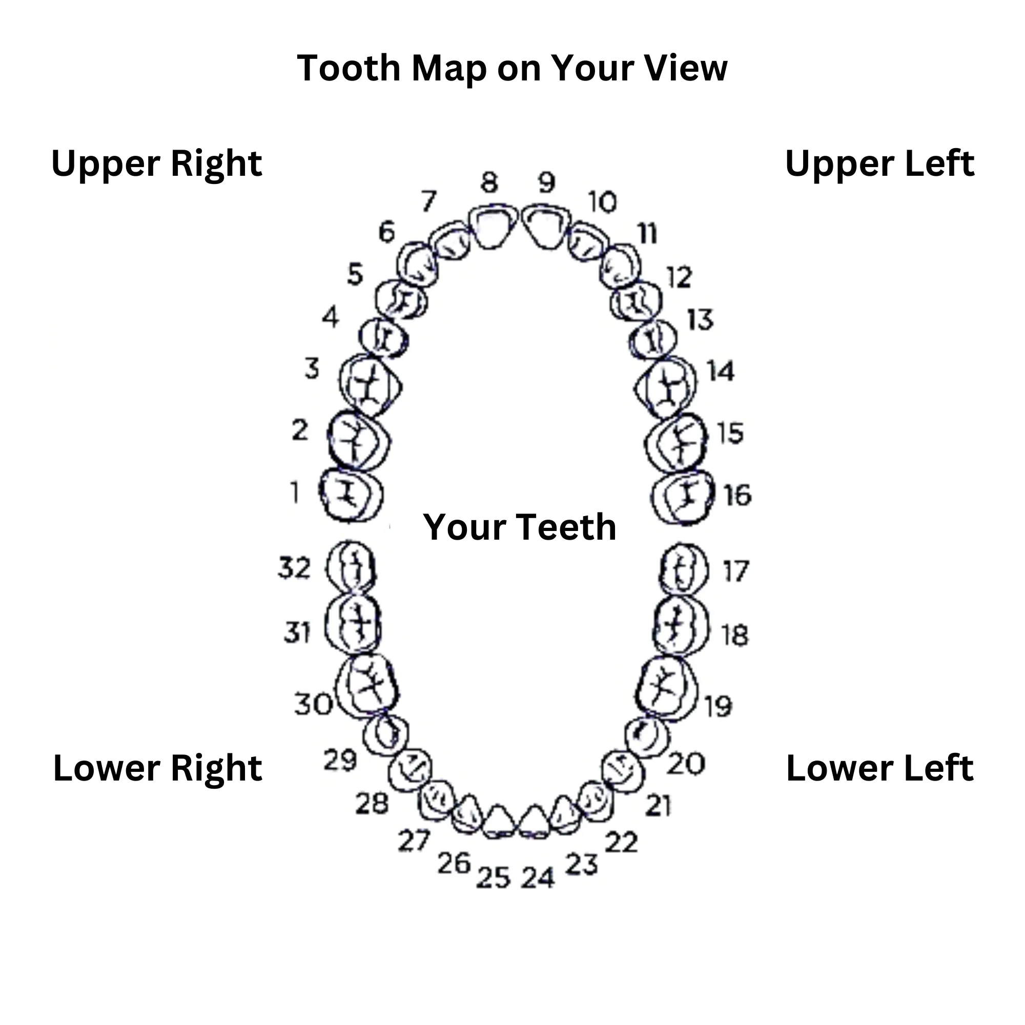 Grillz bold open single star