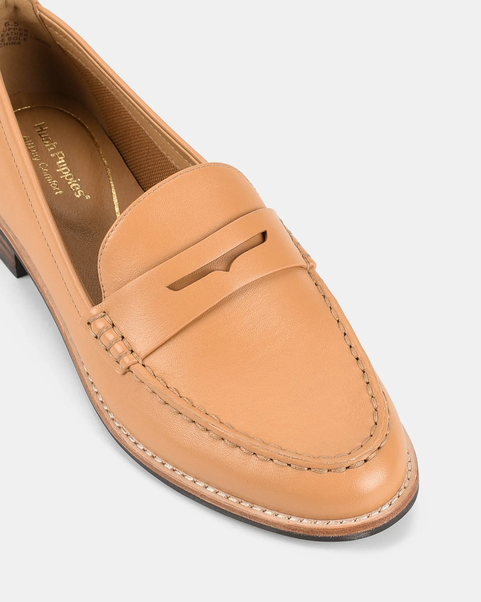 Lucia Camel