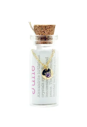 Lucky Feather Birthstone Bottle Necklace Gold - June