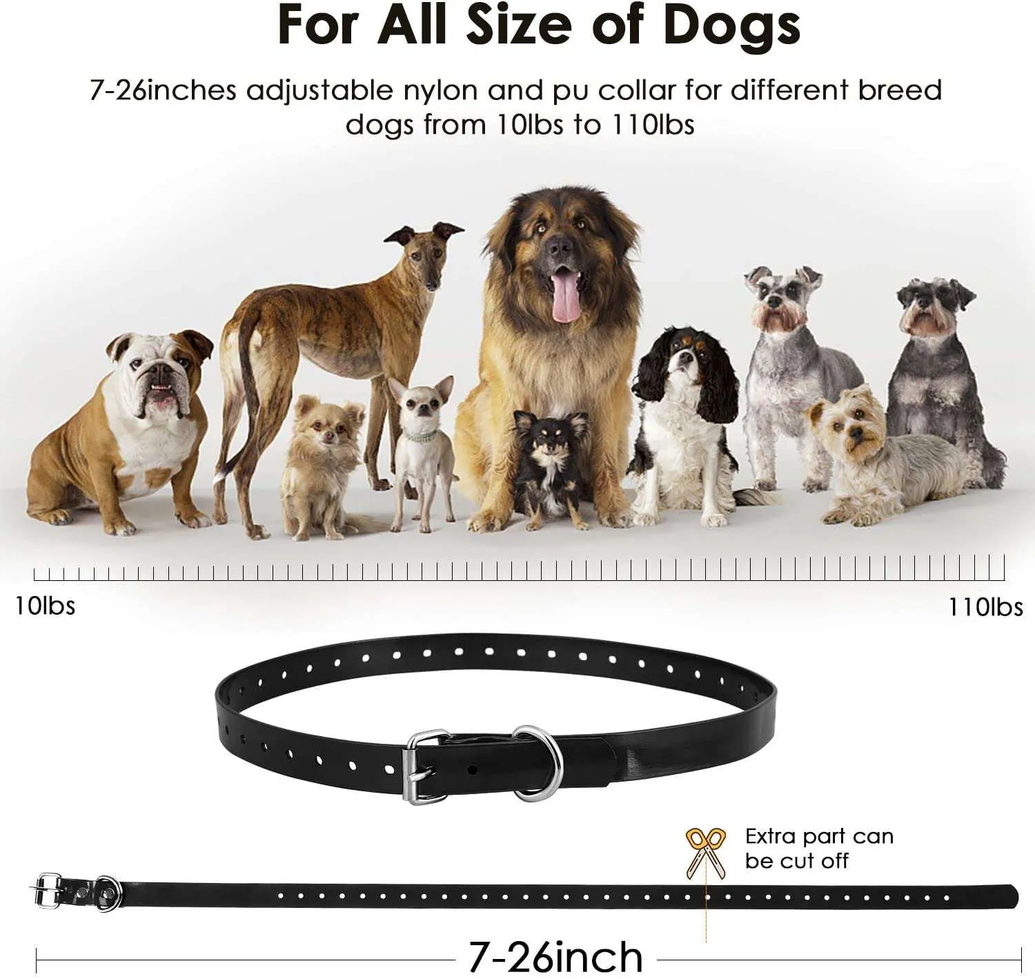 PT430 Remote training collar - 1-3 dogs