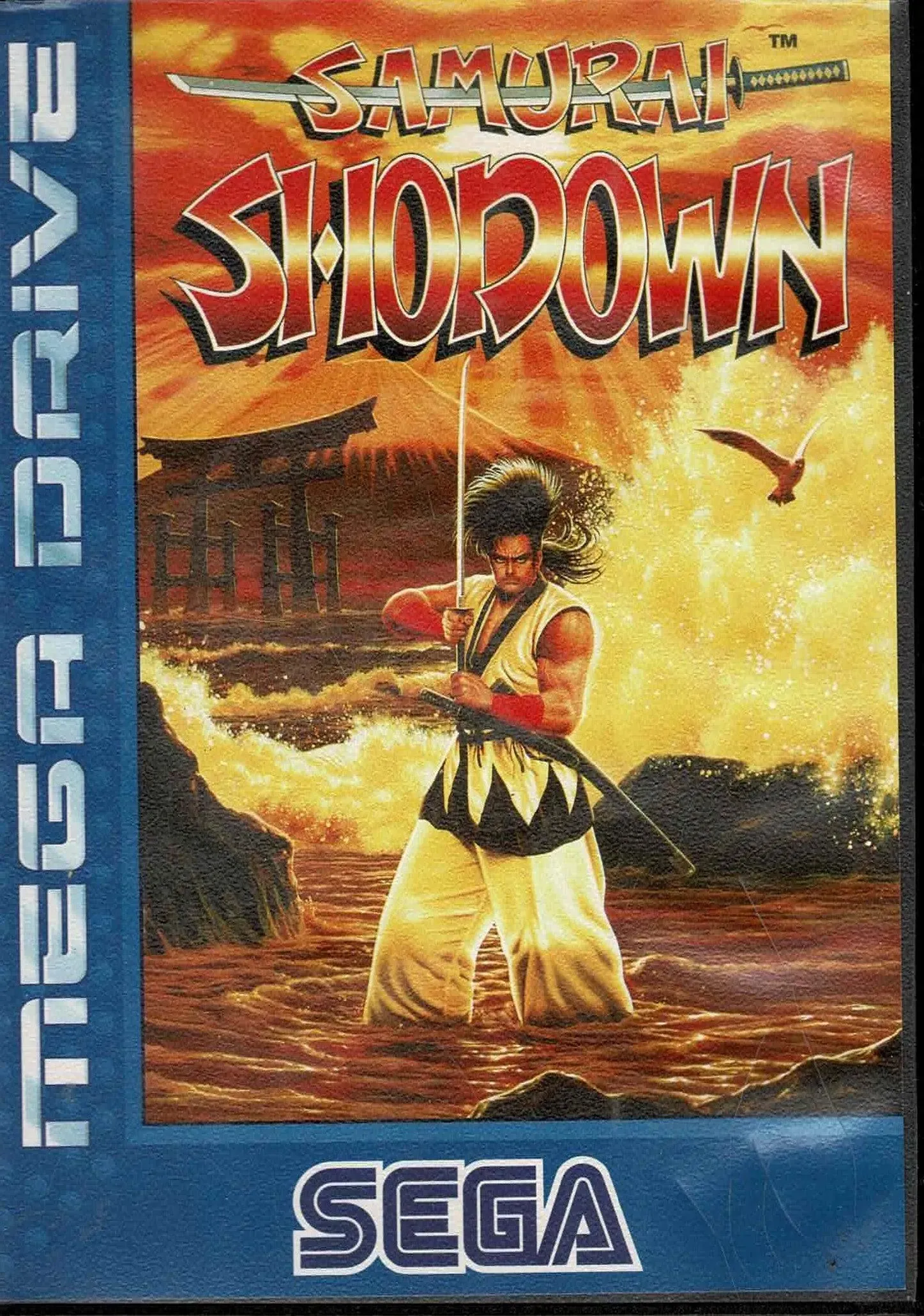 Samurai Shodown (slid på manual)