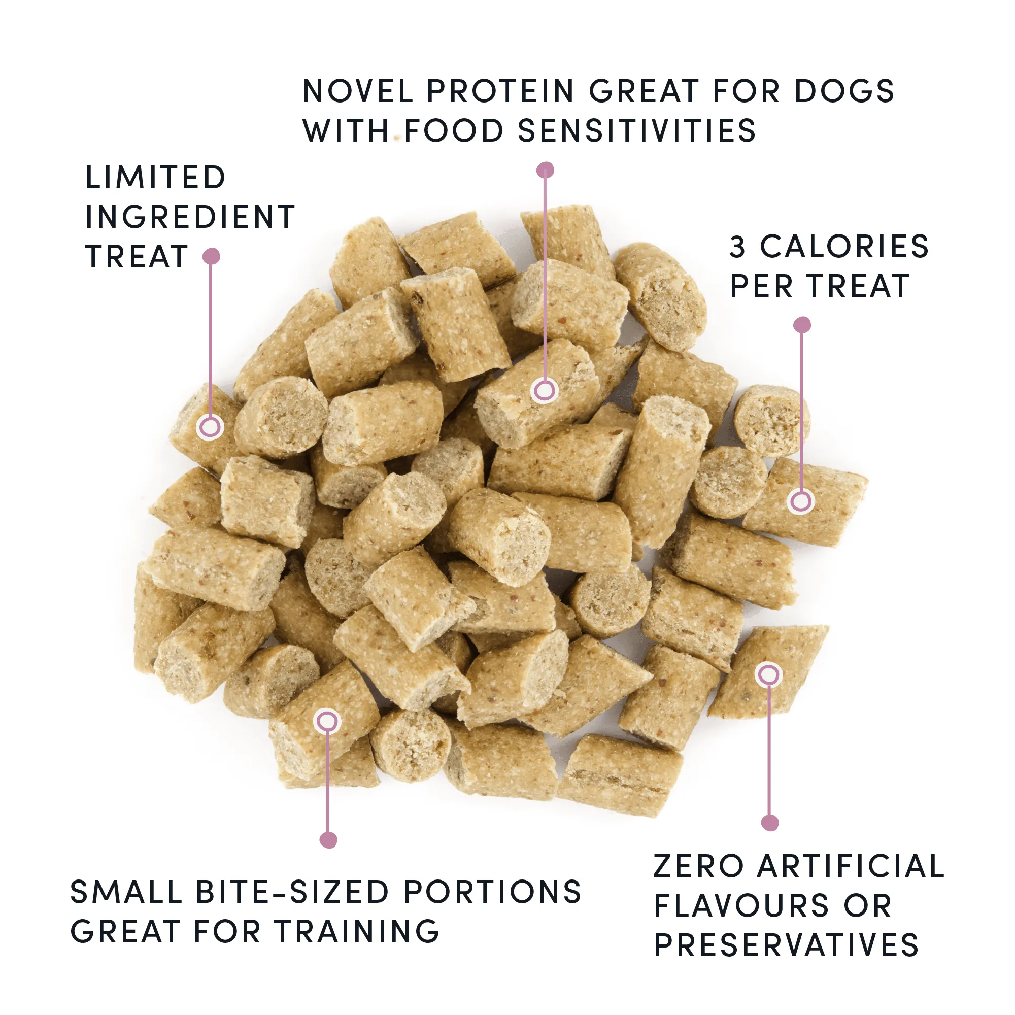 Semi Moist Lamb Mini Trainers