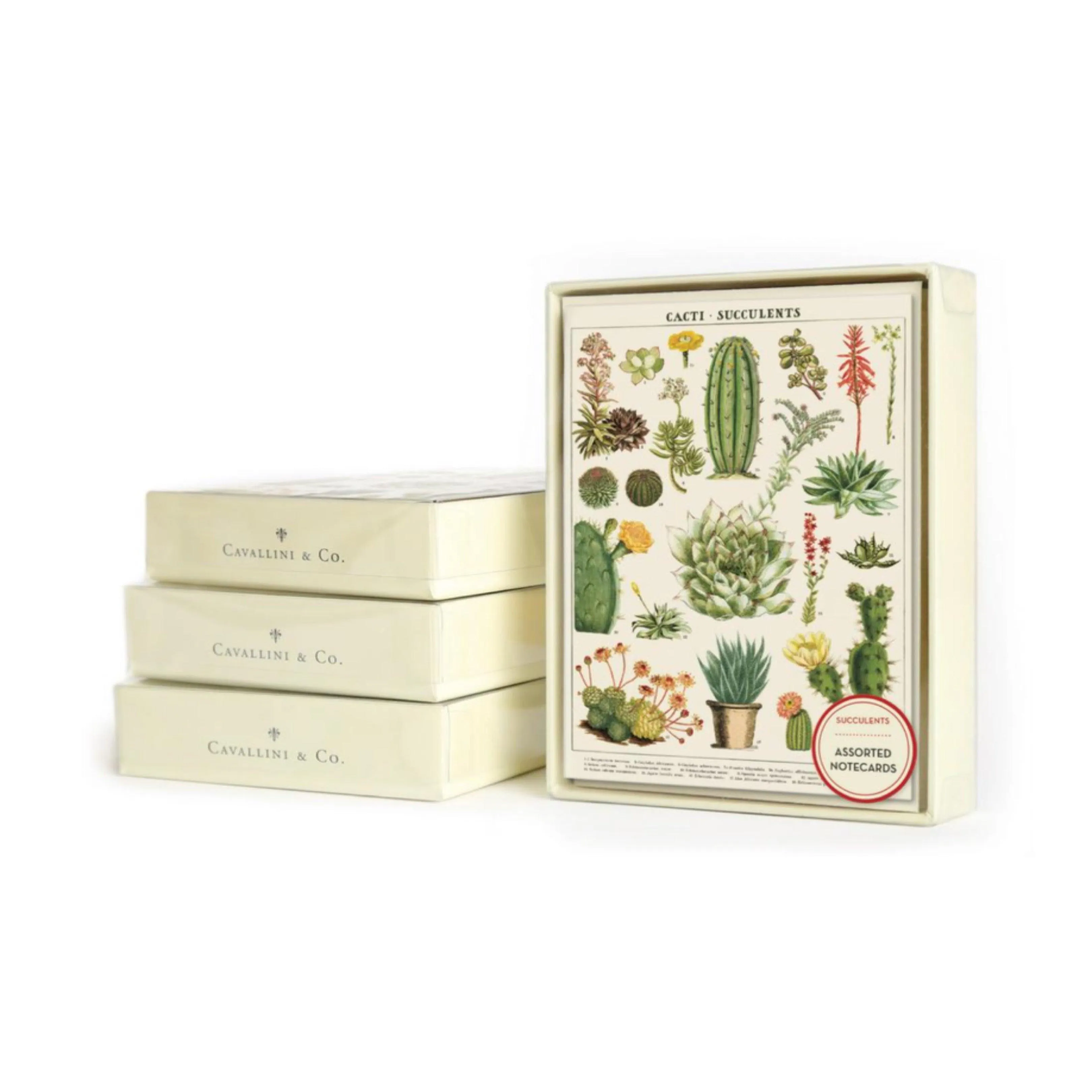 Succulents Assorted Boxed Notecards