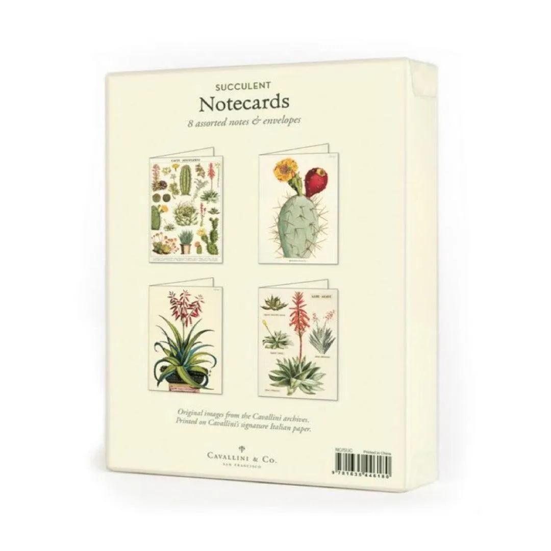 Succulents Assorted Boxed Notecards