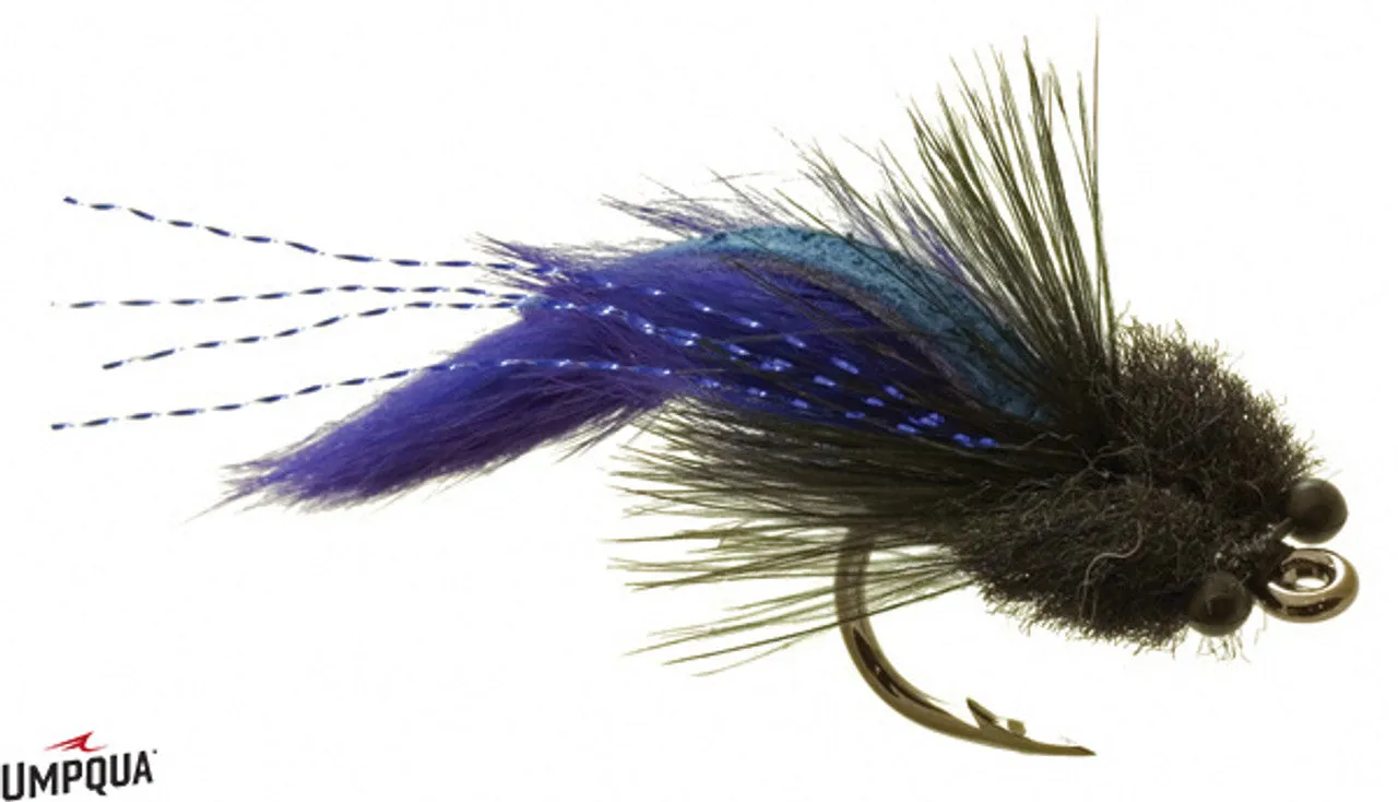 Tarpon Toad