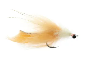 Tarpon Toad